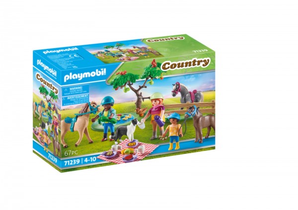 PLAYMOBIL- ΠΙΚ ΝΙΚ ΣΤΗΝ ΕΞΟΧΗ   